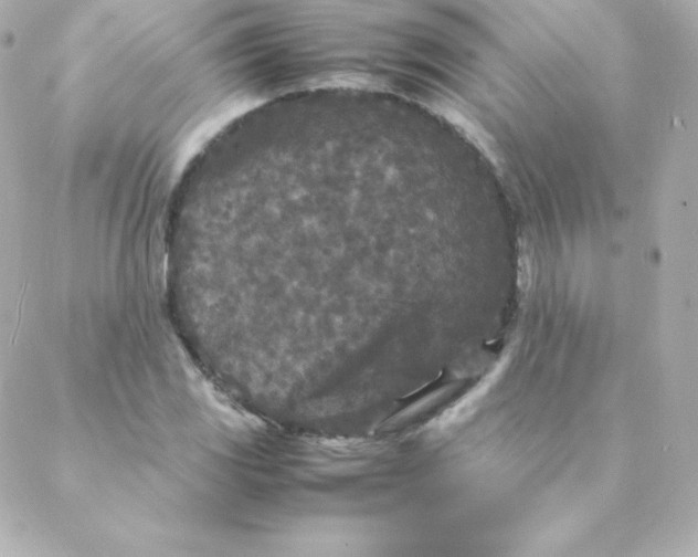 X0000088131117200705291326