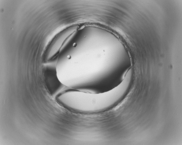 X0000088131118200705291326