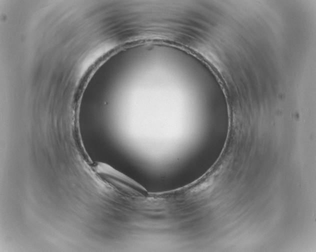 X0000088131119200705291326