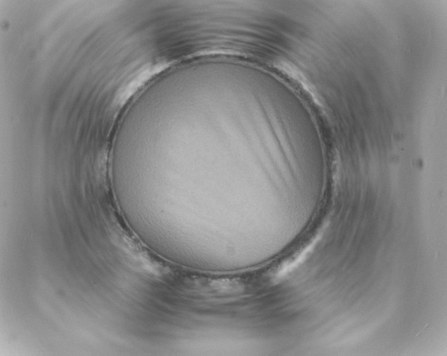 X0000088131121200705291326