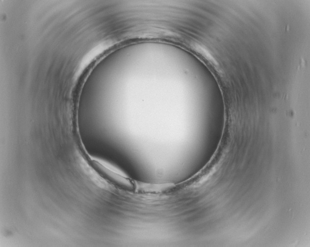 X0000088131122200705291326