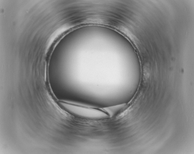 X0000088131123200705291326