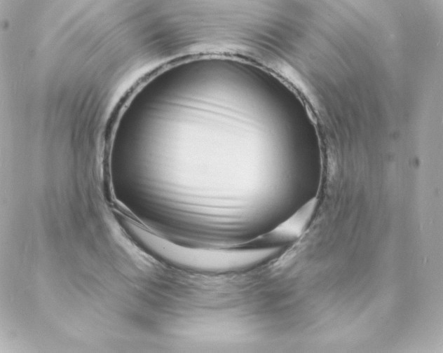 X0000088131124200705291326