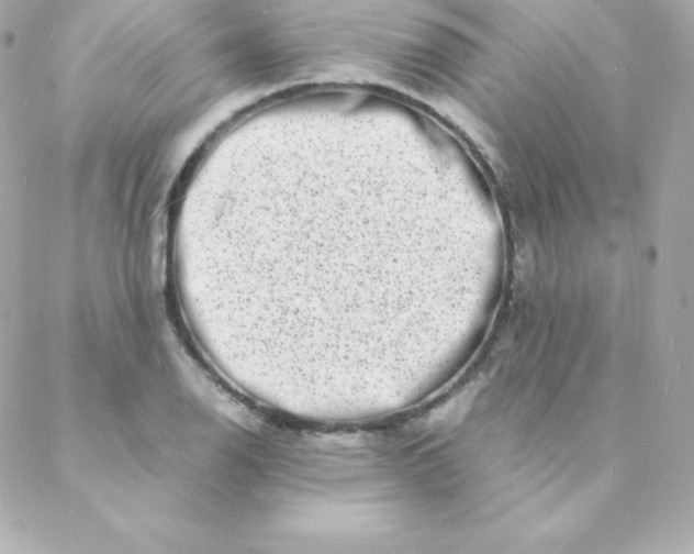 X0000088131126200705291326