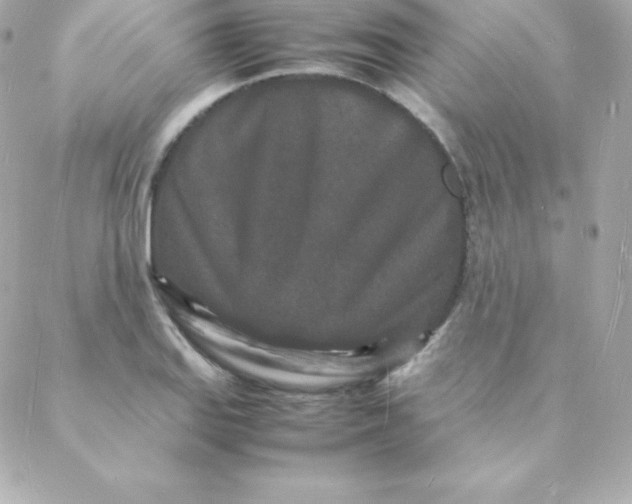 X0000088131127200705291326