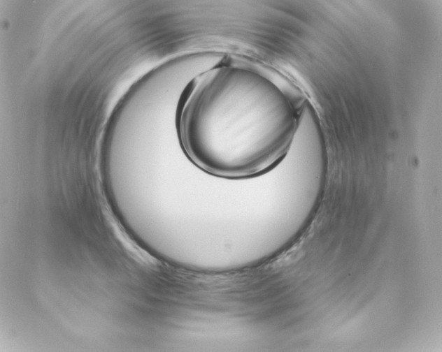 X0000088131128200705291326