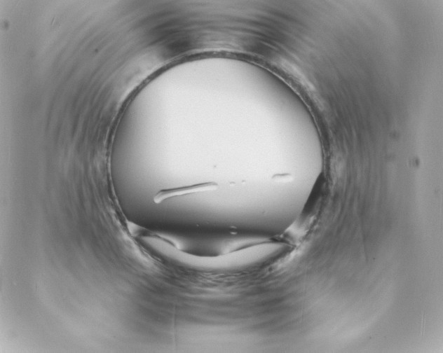 X0000088131129200705291326