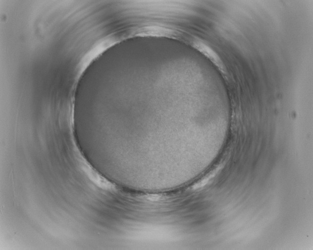 X0000088131130200705291326