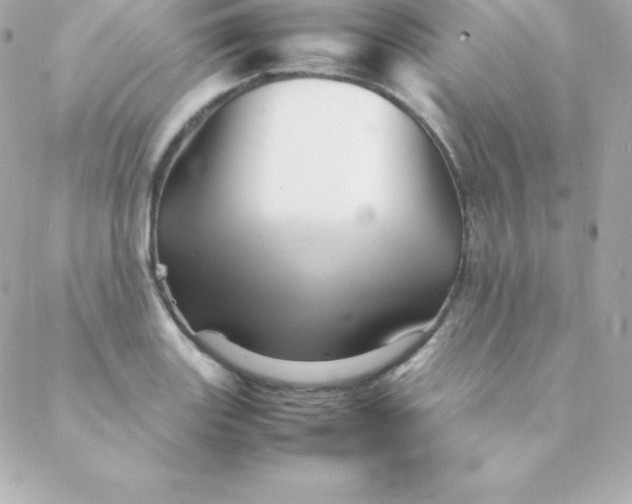 X0000088131131200705291326