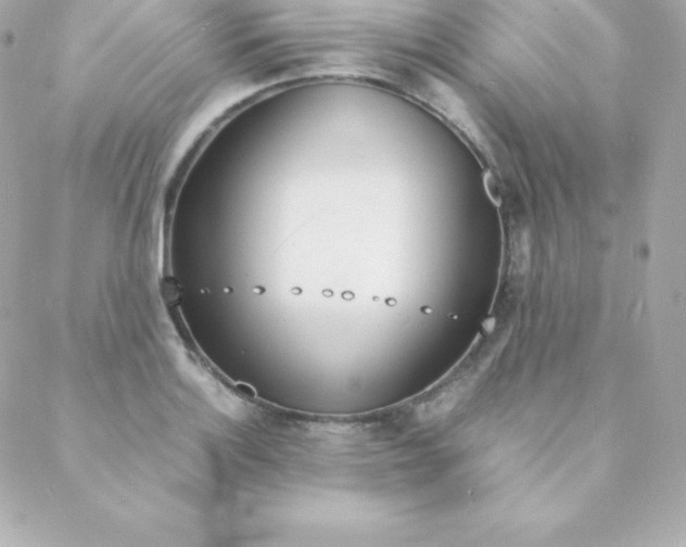 X0000088131132200705291326