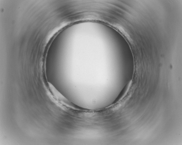 X0000088131134200705291326