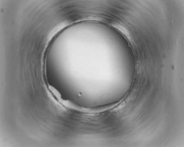 X0000088131135200705291326