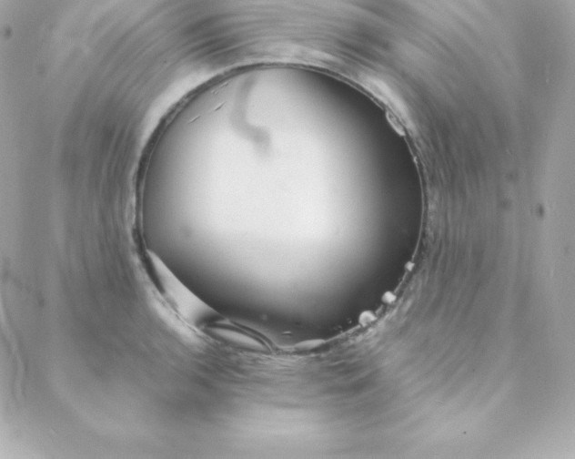 X0000088131136200705291326