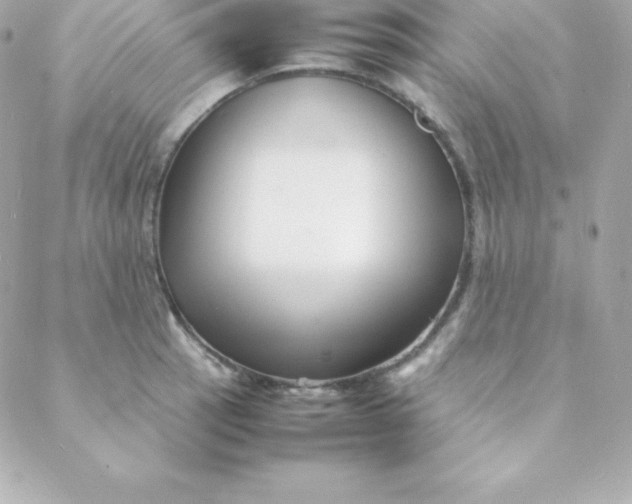 X0000088131137200705291326