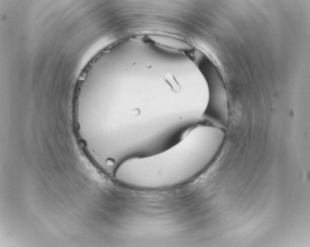 X0000088131138200705291326