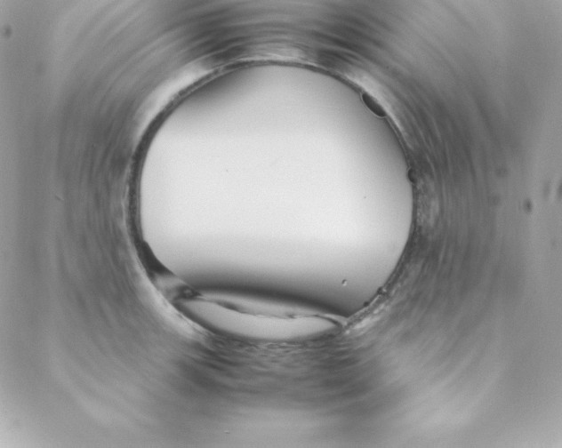 X0000088131139200705291326