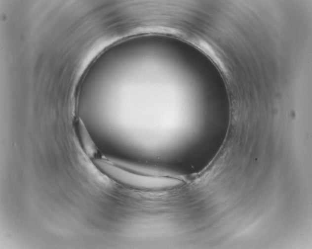 X0000088131140200705291326