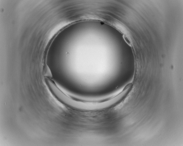 X0000088131141200705291326