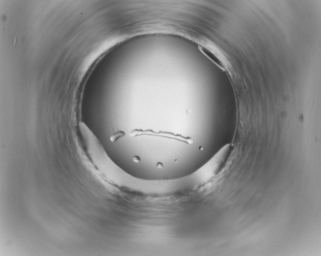 X0000088131142200705291326