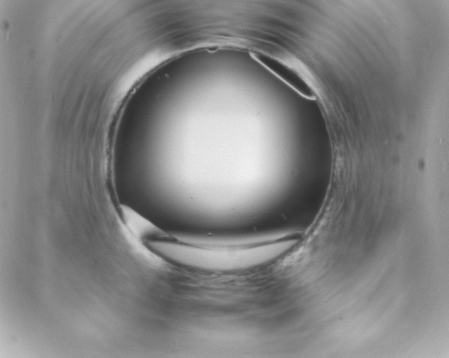 X0000088131143200705291326