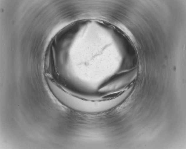 X0000088131144200705291326