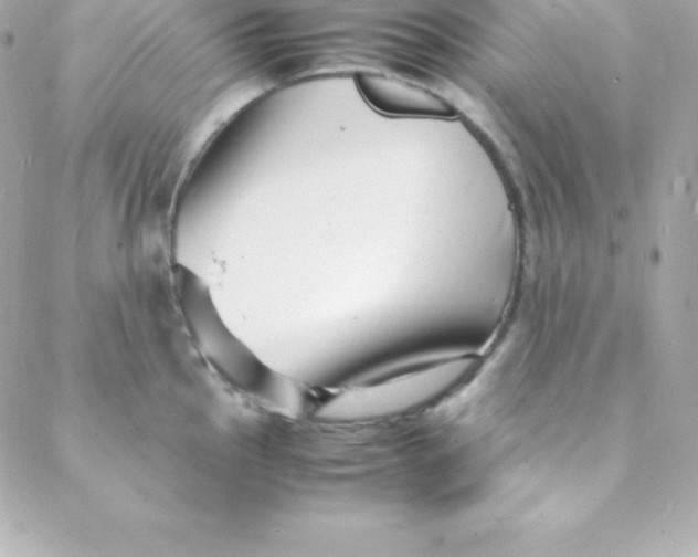 X0000088131145200705291326