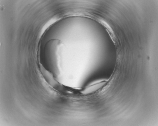 X0000088131146200705291326