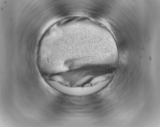 X0000088131147200705291326