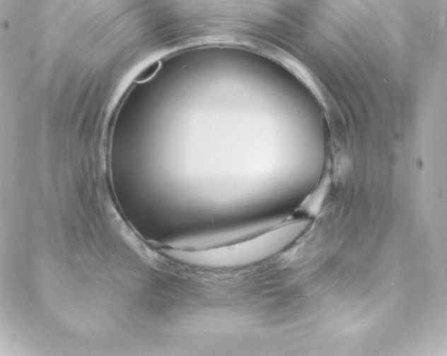 X0000088131148200705291326