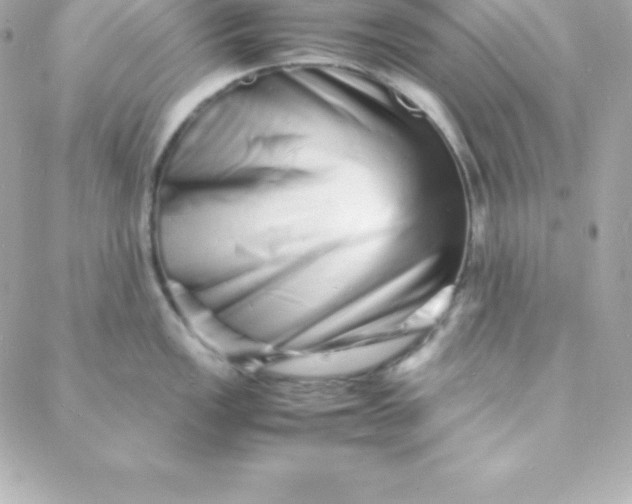 X0000088131149200705291326