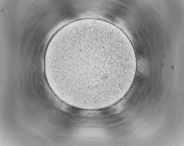 X0000088131150200705291326