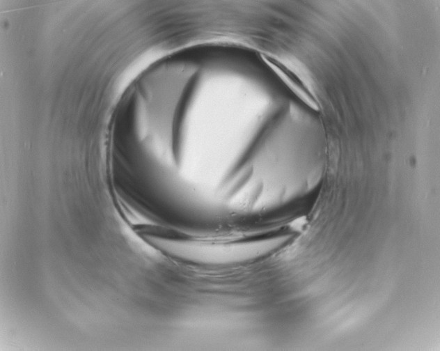 X0000088131151200705291326