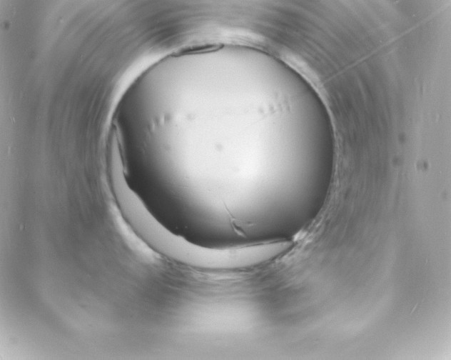 X0000088131152200705291326