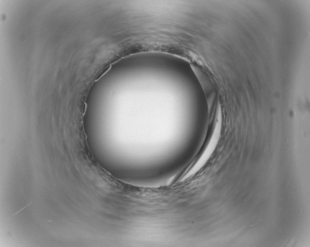 X0000088131153200705291326