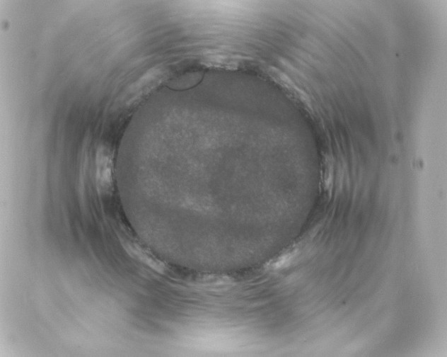 X0000088131154200705291326