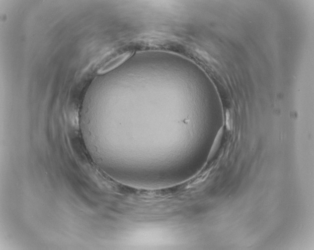 X0000088131155200705291326