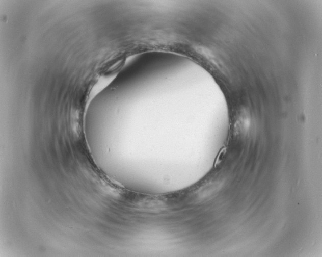 X0000088131156200705291326