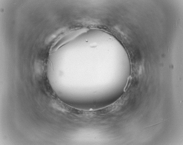 X0000088131157200705291326