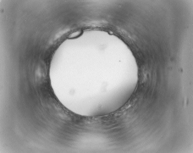 X0000088131158200705291326