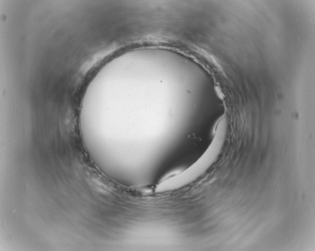 X0000088131160200705291326