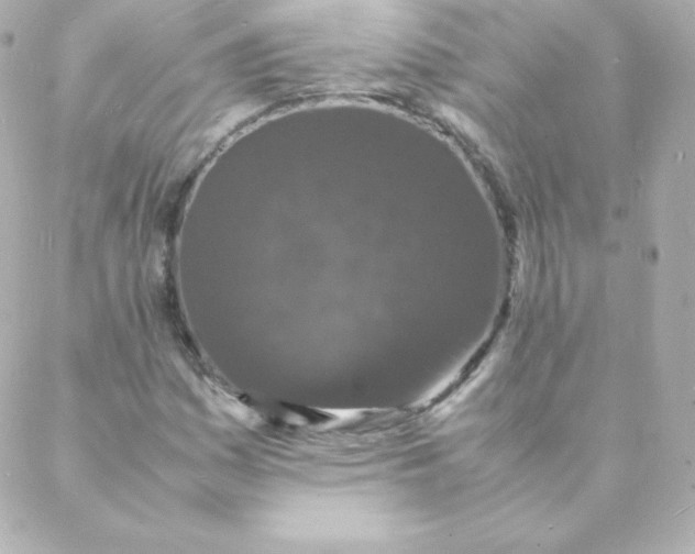 X0000088131161200705291326