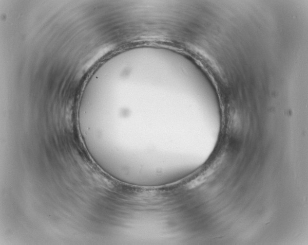 X0000088131162200705291326