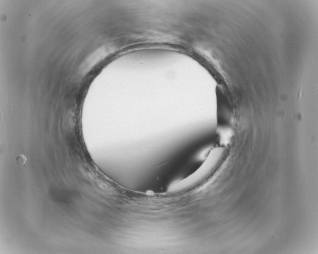 X0000088131163200705291326