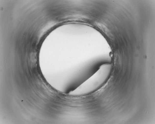 X0000088131164200705291326