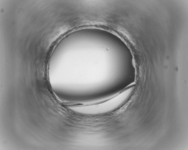 X0000088131165200705291326