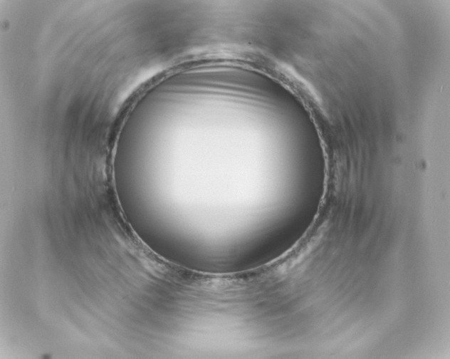 X0000088131166200705291325