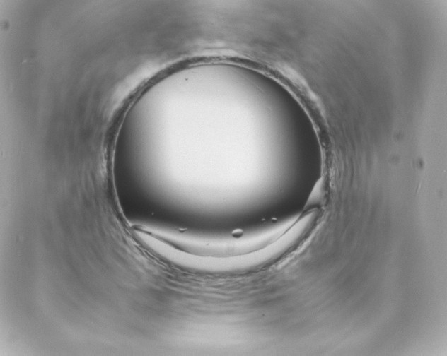 X0000088131167200705291325