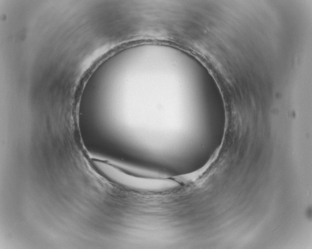 X0000088131168200705291325