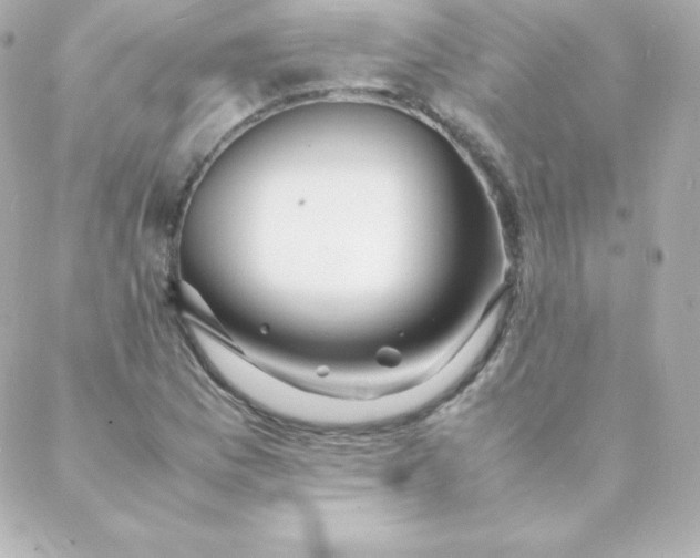 X0000088131169200705291325