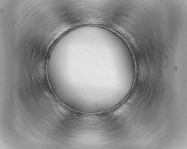 X0000088131170200705291325